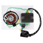 2005-2006 Honda PS 250 Big Ruckus Magneto Coil Stator+Voltage Regulator+Gasket Assy 31120-KTB-771 Generic