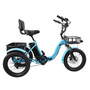 18" 48V 13AH 350W (peak 525W) Electric Trike Variable speed with IPX7 Display