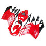 2007-2011 Ducati 1098 1198 848 Amotopart Fairings Red Alice Racing Customs Fairing