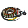 1990-2002 Suzuki Quadrunner 160 LT-F160 16-Pole Magneto Generator Stator Generic