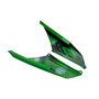 2023-2025 Kawasaki NINJA ZX-4R/ ZX-4RR Rear Tail Wing Fixed Wing Fairing Green Generic