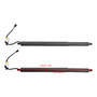 2020-2022 Hyundai Palisade 2* Rear Tailgate Lift Support 81831-S8100 Black Generic