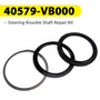 1997-2006 Nissan Patrol/Safari Y61 Steering Knuckle Shaft Repair Kit 40579-VB000 Generic