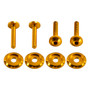 2015-2023 Touring Road Glide/Special FLTRX/S Windshield Fairing Bolts Gold Generic