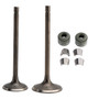 Intake Exhaust Valve Kit For LIFAN ZONGSHEN CG250 250cc Go Kart Dirt Bike ATV