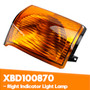 1999-2002 Land Rover Discovery 2 Pre-Facelift Models Right Indicator Light Lamp XBD100870 Yellow Generic