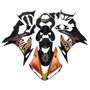 2004-2006 Yamaha YZF-R1 Multi-Color Repsol Racing Amotopart Fairings Customs Fairing