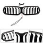 2020-2025 BMW 6 Series G32 Double Slat Black Front Kidney Grille Generic
