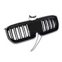2023-2025 BMW X1 U11 U12 Double Slat Black Front Bumper Kidney Grille Generic