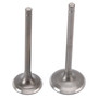 1983-2025 Yamaha Cylinder Head Intake and Exhaust Valve Kit 5HO-12111-00-00 Generic