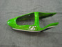 Fairings Plastics Kawasaki ZX6R 636 Green Nakano 56 Racing (2000-2002)
