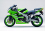 Fairings Plastics Kawasaki ZX6R 636 Green Blue ZX6R Racing (2000-2002)