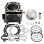 Cylinder Top End Piston Kit For Kymco MXU 250 MAXXER 250 KXR 250 MONGOOSE 250