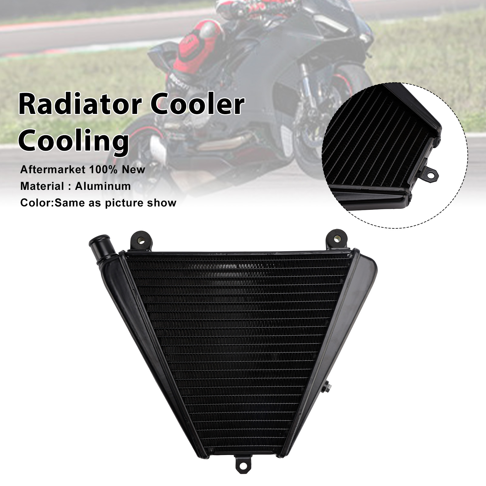 2022-2024 Ducati Streetfighter V2 Radiator Cooler Black Generic