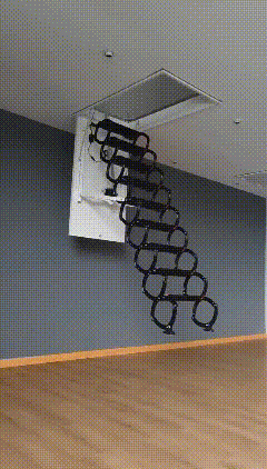 lv-0-20250206100732.gif
