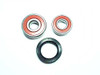 Wheel Bearing Kit WBK-431 Kit