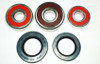 Wheel Bearing Kit WBK-374 Kit