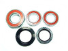 Wheel Bearing Kit WBK-387 Kit