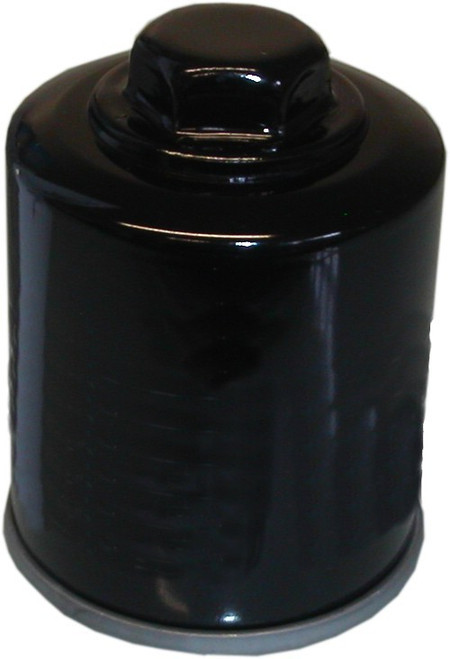 Piaggio X9 125 Evolution 4T 2003-2004 Oil Filter