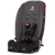 Radian® 3R® all-in-one convertible car seat [Gray Slate]