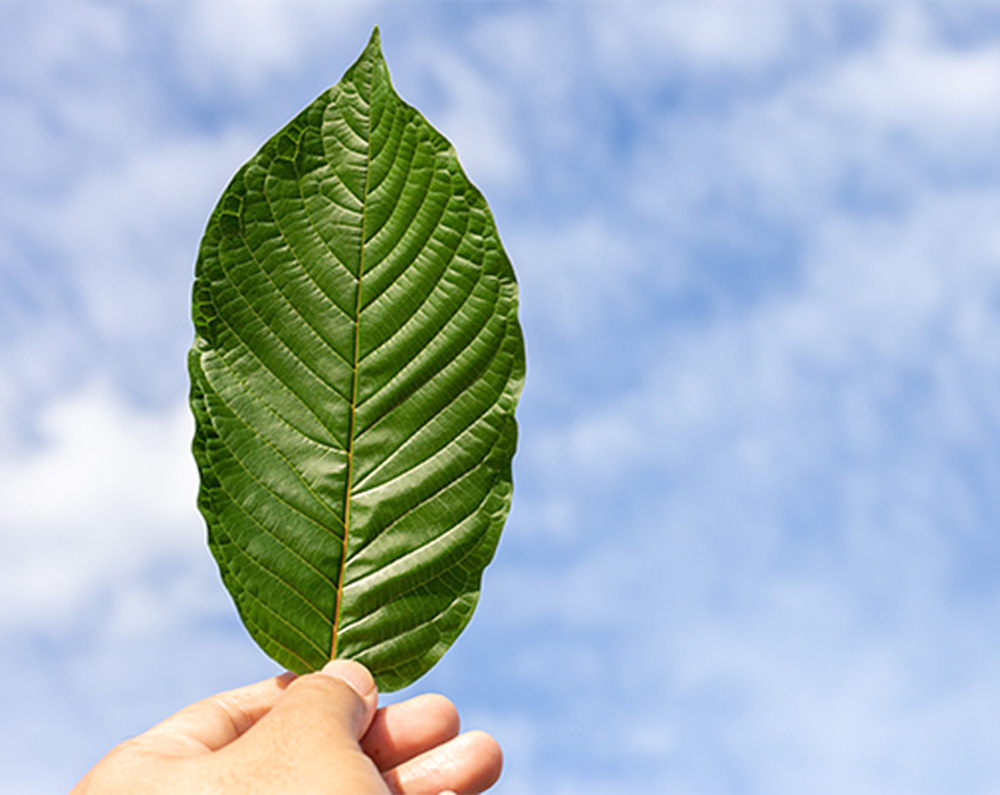 koi-kratom