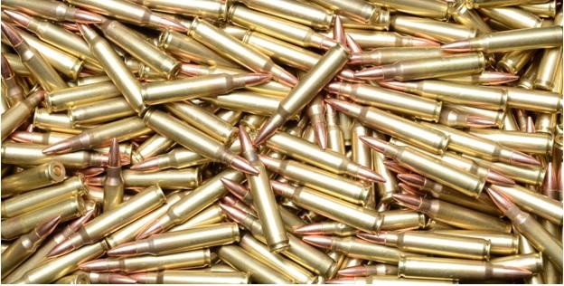 American Eagle .223 (55gr FMJ): What You Wanted to Know