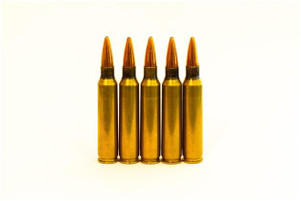 .223 vs 5.56: Myths and Facts