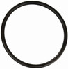 DG Pool Products Pool light Lens Gasket Replacement