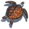 Mosaic Brown Turtle with shadow Porcelain Mosaic