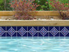 National Pool Tile Discovery Series Cobalt BlueRust