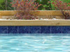 National Pool Tile Bermuda 6x6 Series Blue 