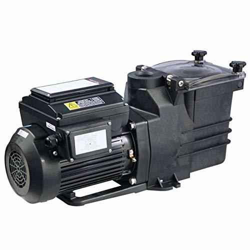 Utilitech 1HP Thermoplastic Pool Pump By DG Pool Supply