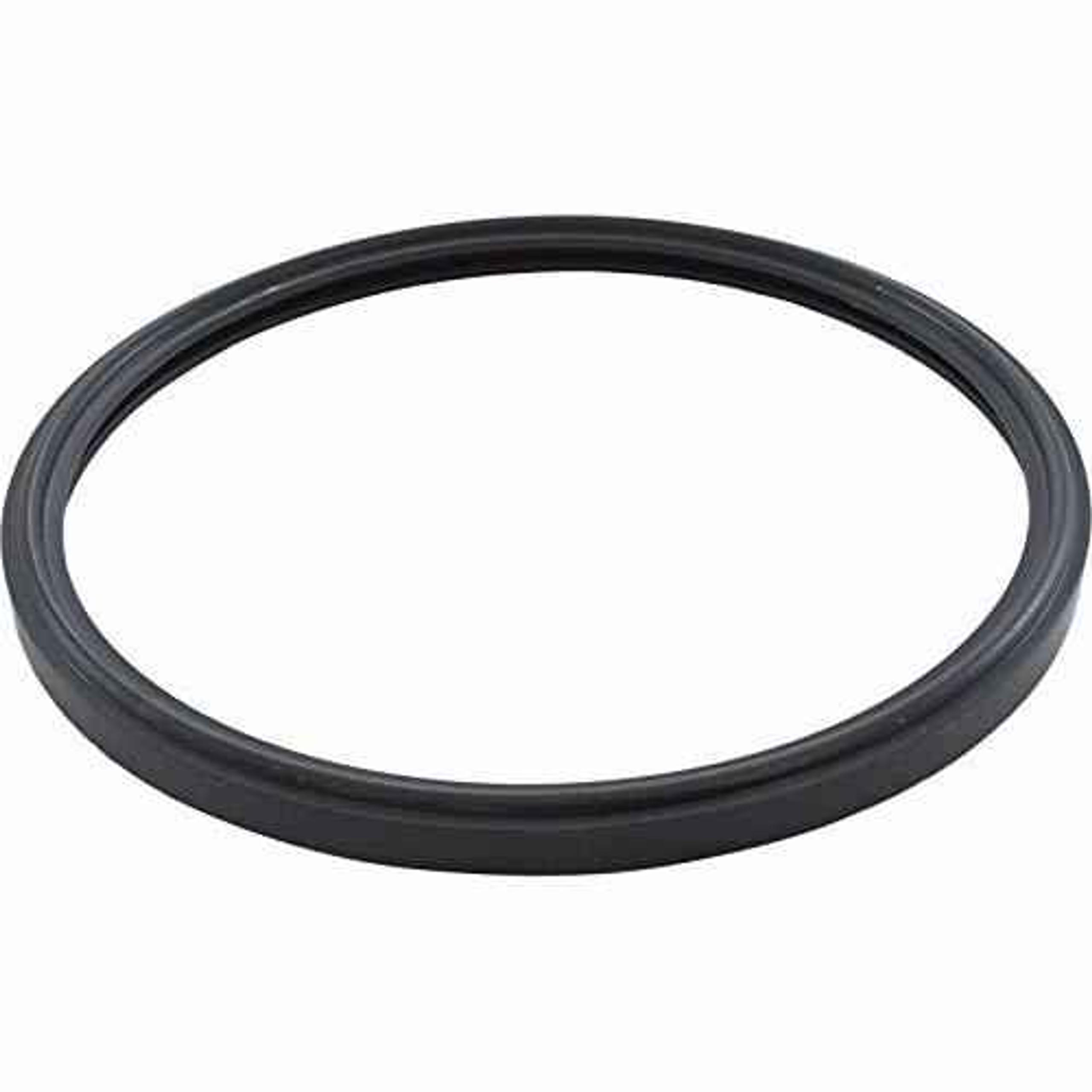 Pentair 79108600 4Inch White Silicone Gasket