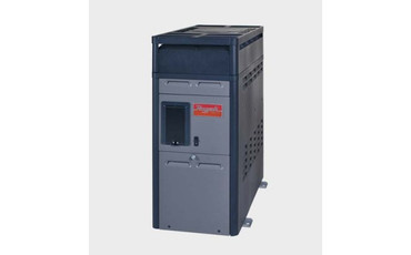 Raypak Model R156A Digital Pool & Spa Heater Natural Gas 150 MBTUH 120/240V