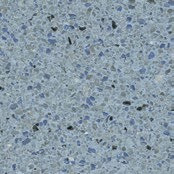 Marquis Series 80 lbs Exposed Aggregate Pool Finish Antigua