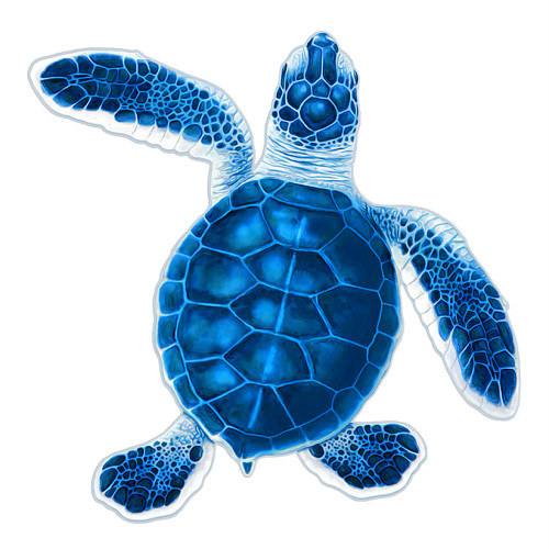 Turtle Hatchling B - Blue