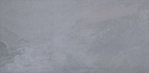 NPT Slate Pewter Porcelain Pool Tile 12" x 24"