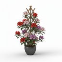 Azalea Trellis 'Trellis'