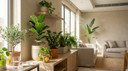 Common Indoor Plant Problems in Hot Homes in Saudi Arabia Homes