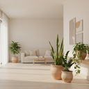 نباتات داخلية لا تحتاج متابعة مستمرة في منازل الإمارات