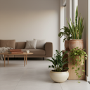 نباتات داخلية لا تحتاج متابعة مستمرة في منازل الإمارات