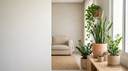Low Maintenance Indoor Plants for Busy People in UAE Homes