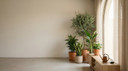 Common Indoor Plant Problems in Hot Homes in Saudi Arabia Homes