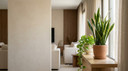 Indoor Plants That Survive Neglect and Irregular Care in Saudi Arabia Homes