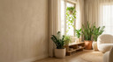 Best Indoor Plants for Apartments with Limited Light in UAE Homes