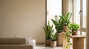 Best Indoor Plants for Offices in Hot Countries in Saudi Arabia Homes