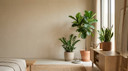 Indoor Plants Explained for First-Time Owners in Saudi Arabia Homes