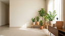 How Indoor Plants Behave Differently in Hot Climates in Iraq Homes