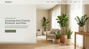Indoor Plants Explained for First-Time Owners in UAE Homes