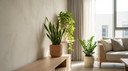 Best Indoor Plants for Apartments with Limited Light in Iraq Homes
